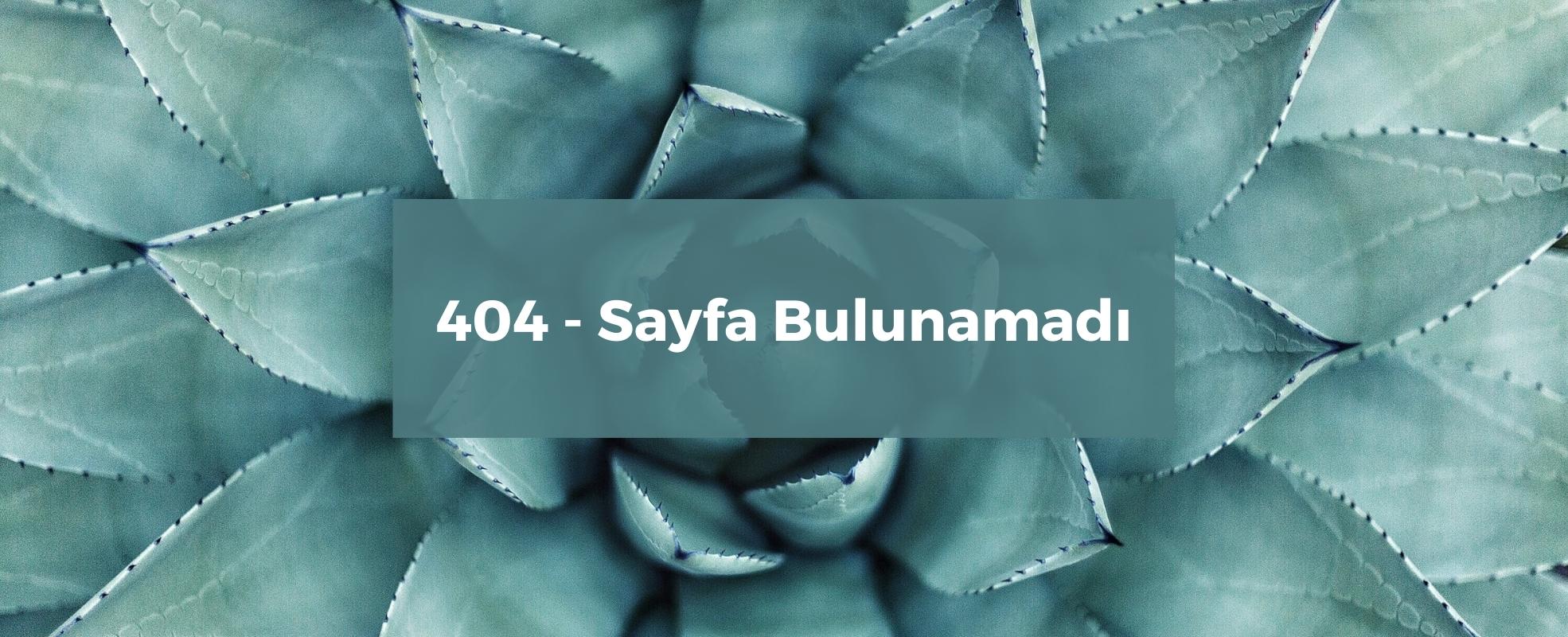 Sayfa Bulunamadı